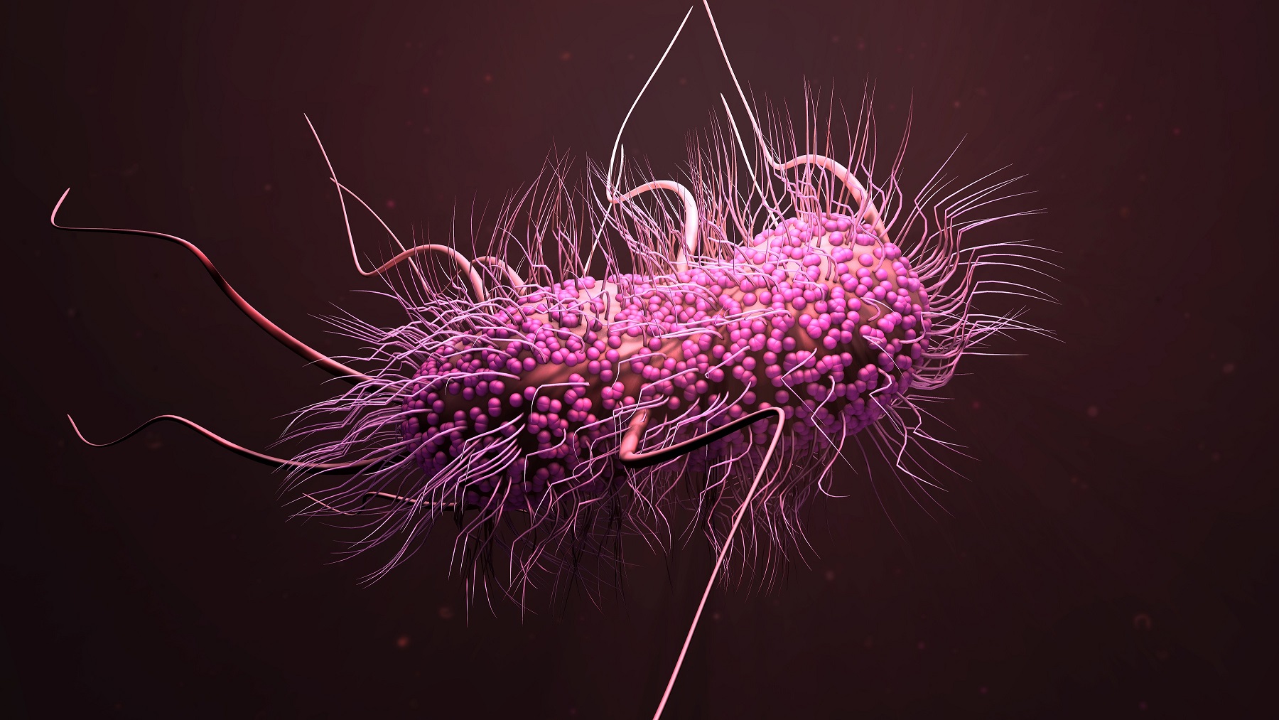 Canva Bacteria E. Coli