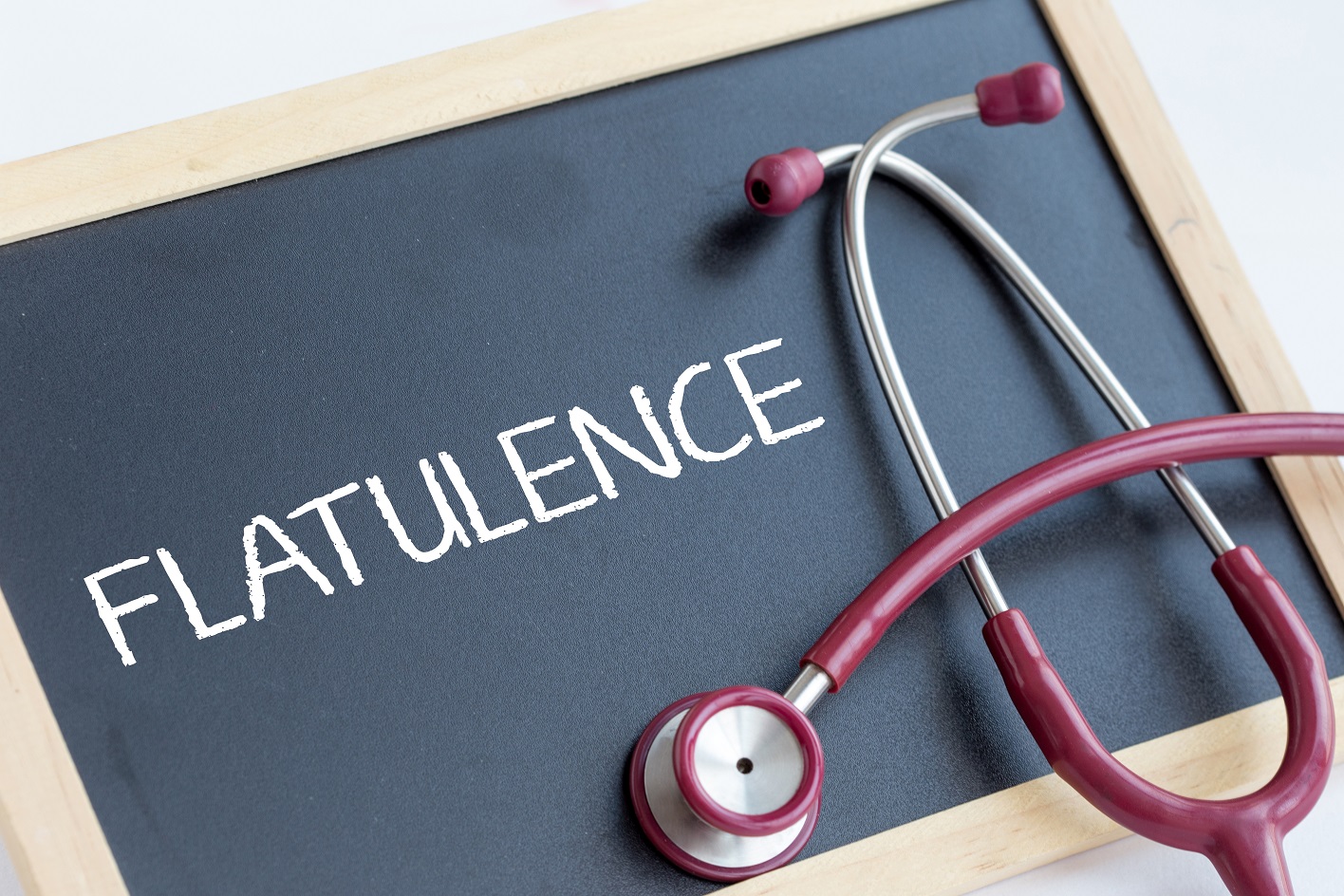 Canva FLATULENCE CONCEPT