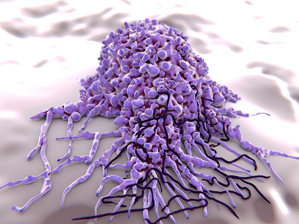 Canva Macrophage borrelia bacteria
